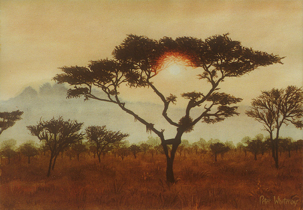 African Dream — Watercolor Painting by Peter Whiterose ©